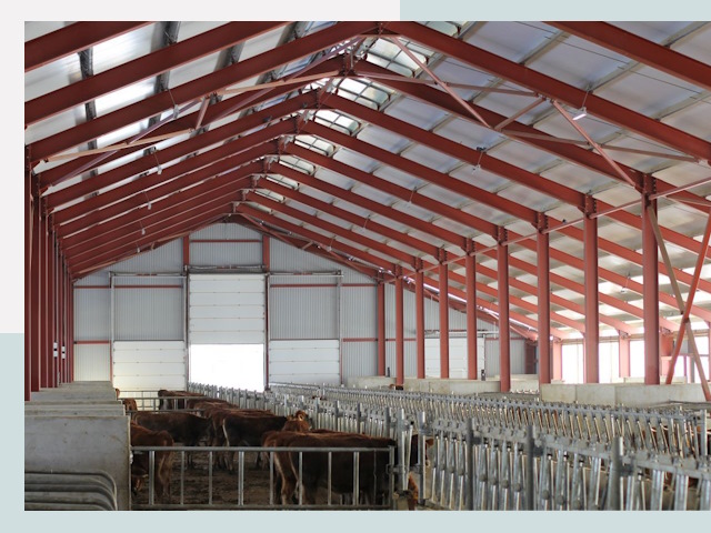 Строительство коровников в Климовске