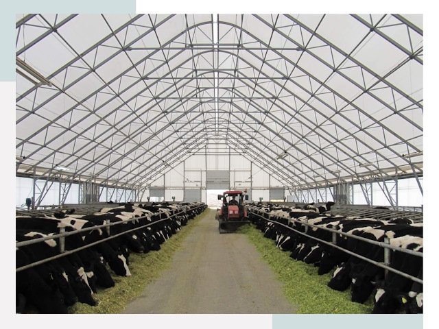 Тентовые коровники в Климовске от 608 руб. - Надежно и доступно